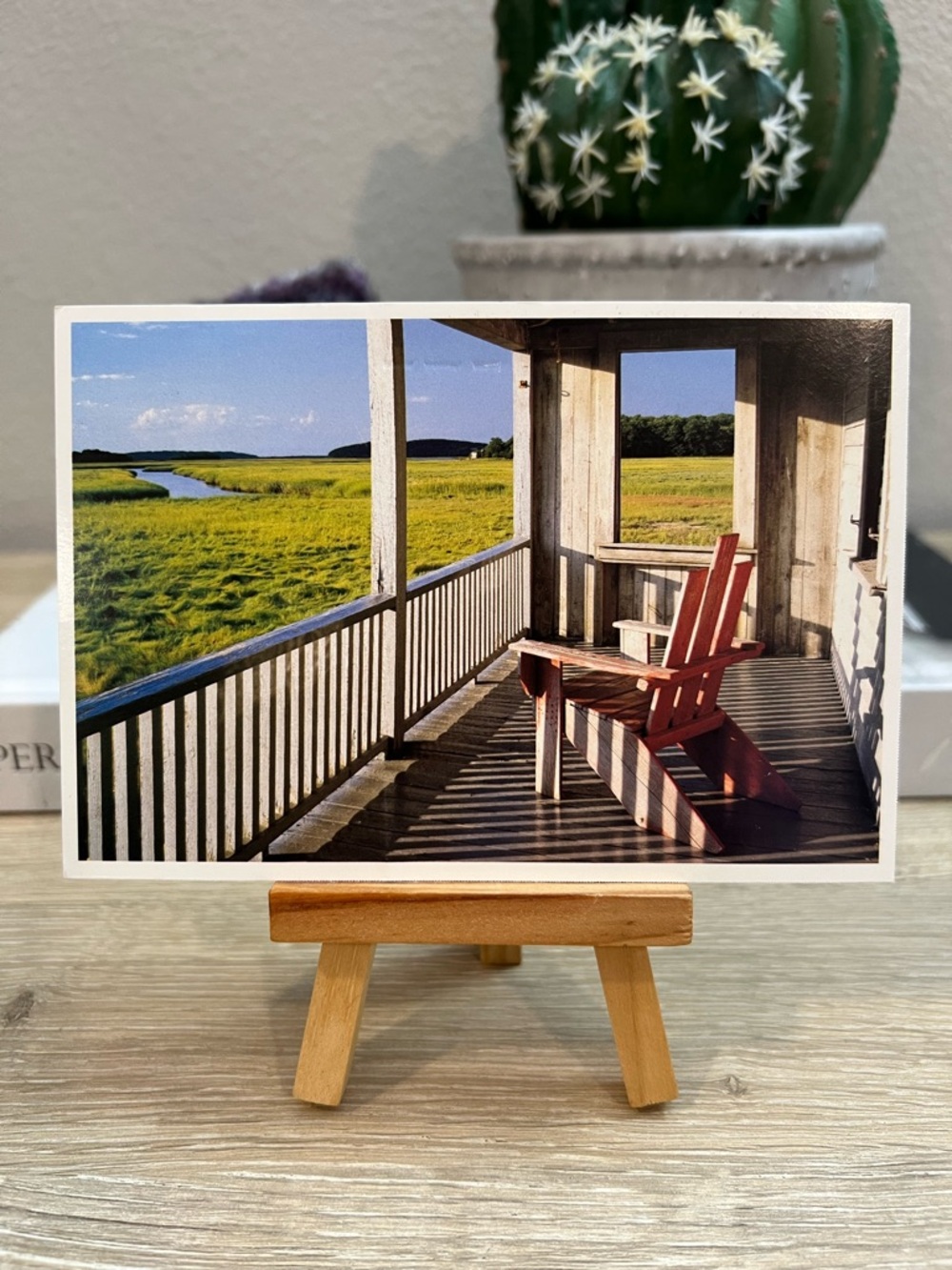 Unused Marsh View Porch Postcard Adirondack Chair Coastal Scenic Retreat